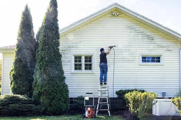 Best Animal Enclosure Cleaning  in Dorneyville, PA